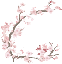 梅花插图计划