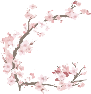 梅花插图计划
