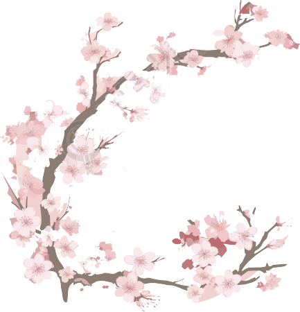 梅花插图计划