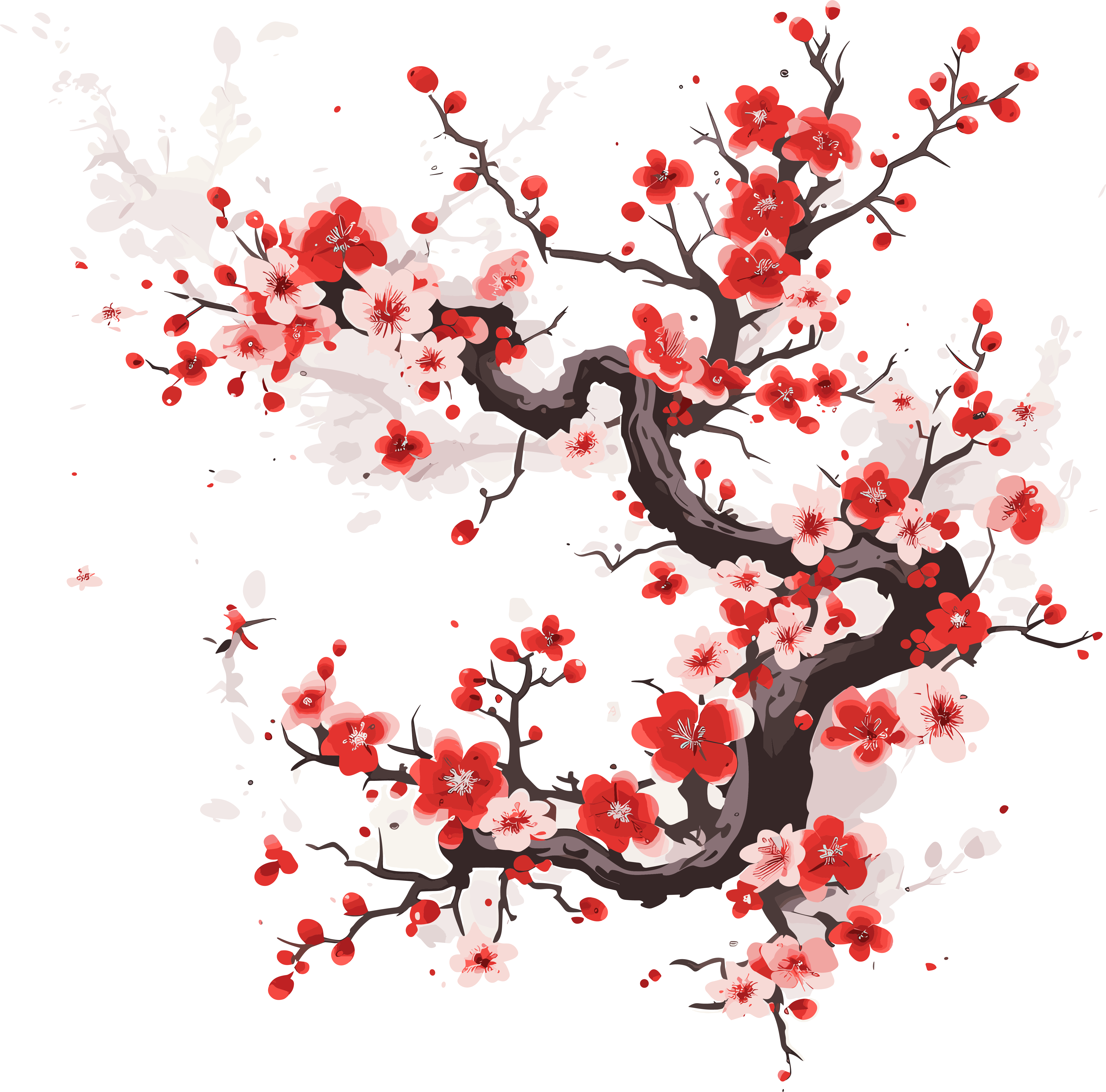 梅花插图计划