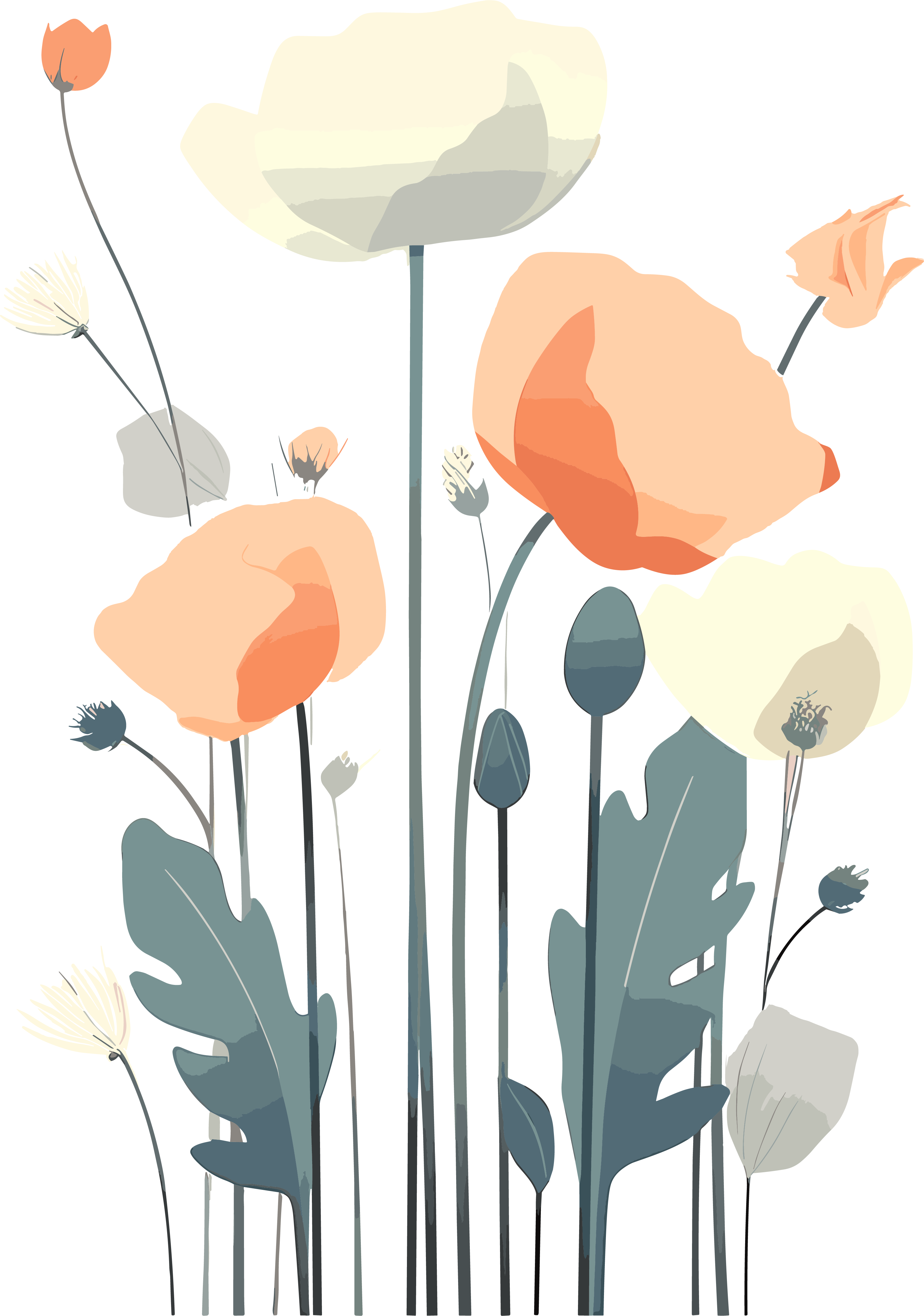 花卉插画设计素材