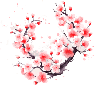 梅花插图计划