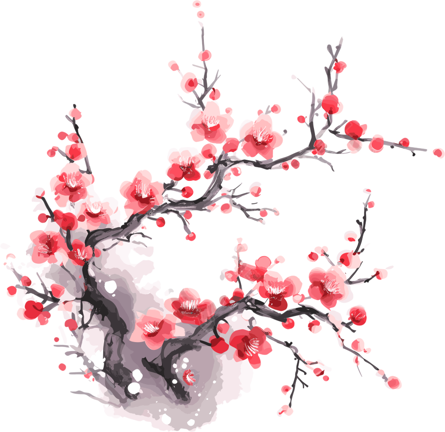 梅花插图计划