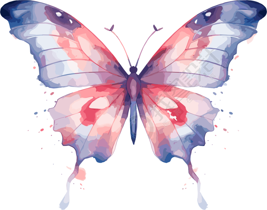水彩波西米亚极简插画设计素材