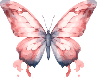 水彩波西米亚风蝴蝶插画元素