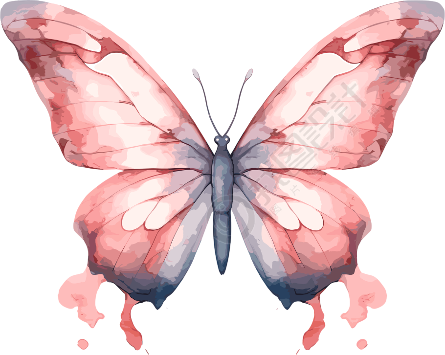 水彩波西米亚风蝴蝶插画元素