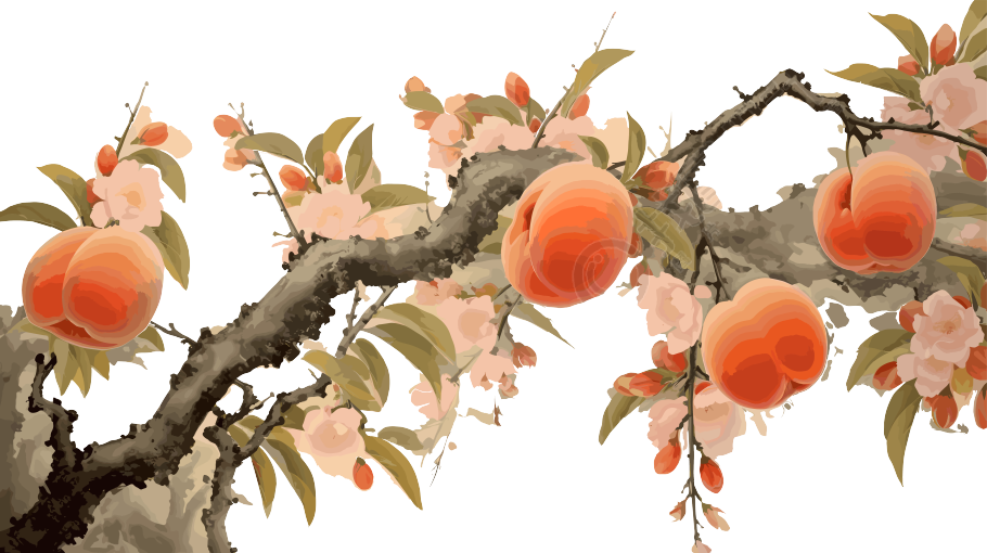 可商用桃子素材