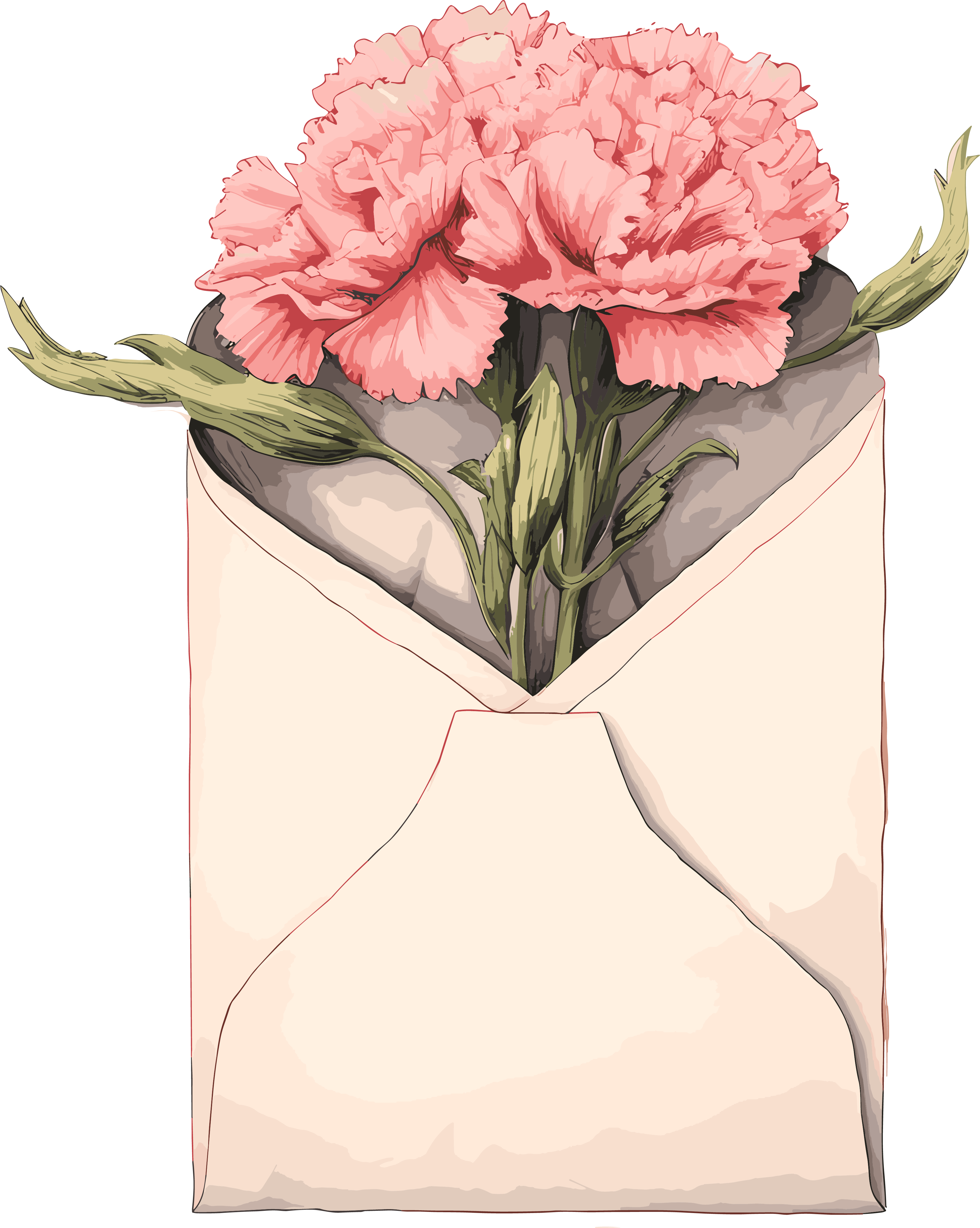 粉色康乃馨花束插画