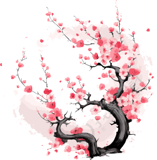 中国风白底梅花插画