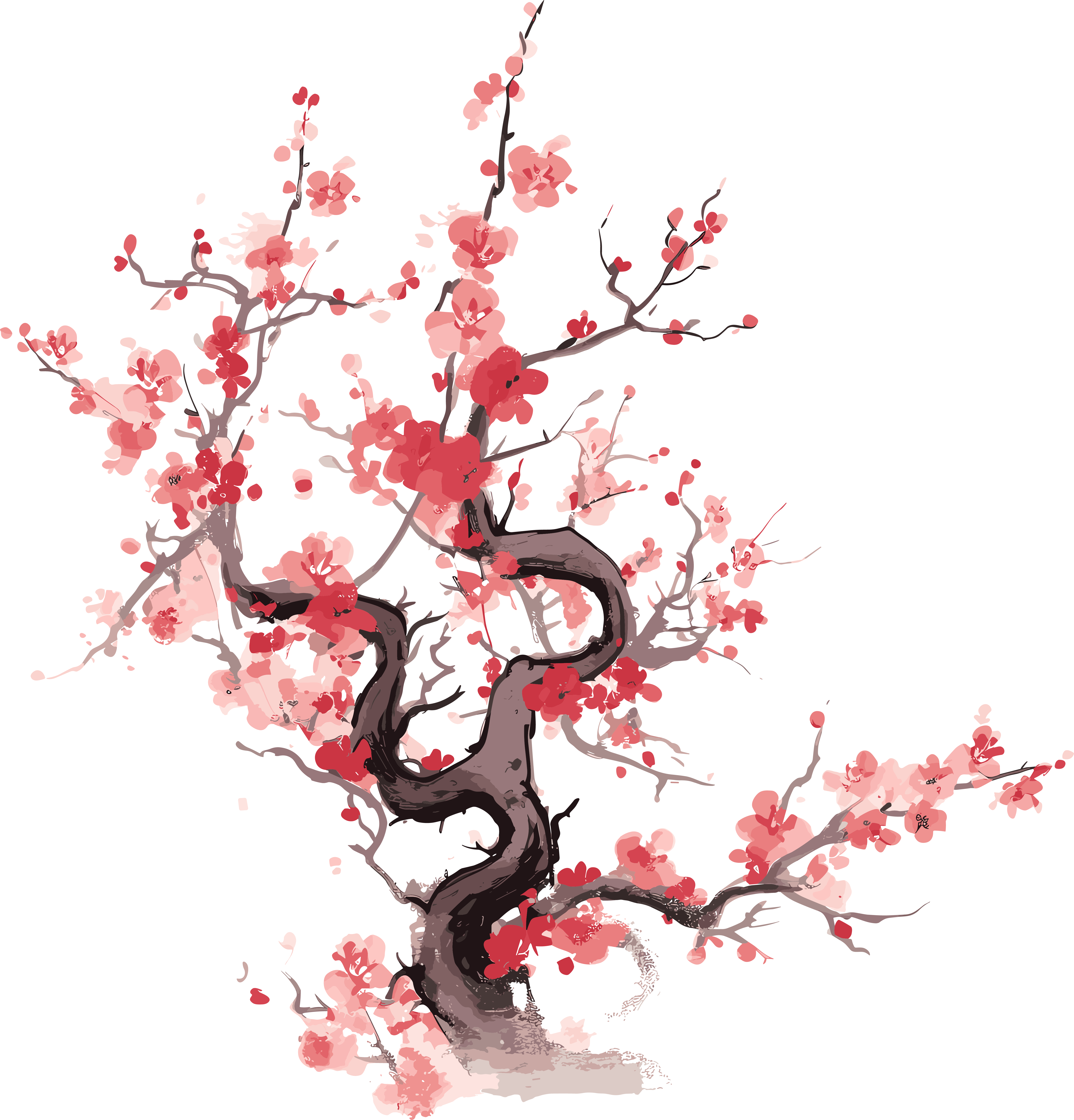 中国风白底梅花插画