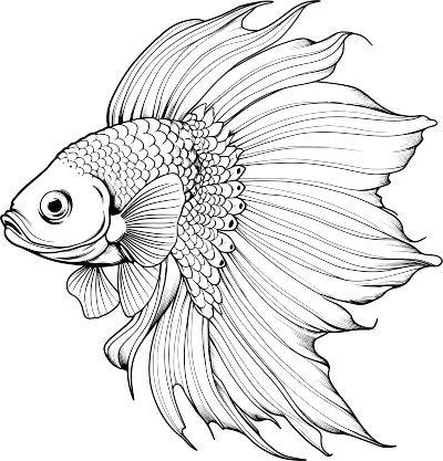 简笔翅膀鱼插画