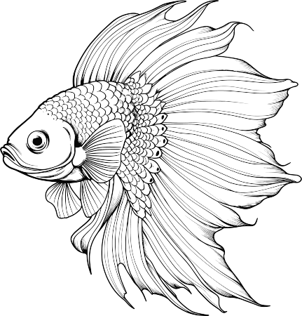 简笔翅膀鱼插画
