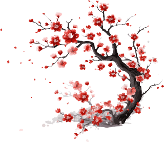 中国风白底素描梅花插画8K高清矢量设计