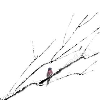 小寒时节枯树枝上的小鸟PNG插画