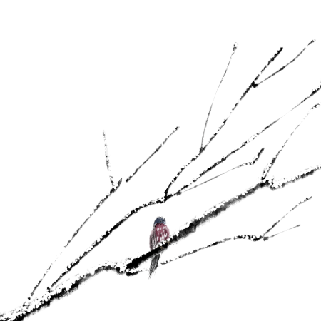 小寒时节枯树枝上的小鸟PNG插画