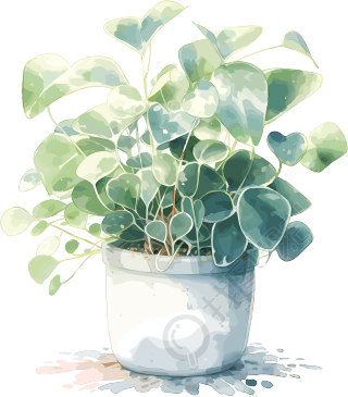 盆栽贴纸清新简约插图