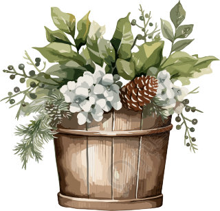 圣诞节绿植盆栽水彩风插画