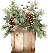 圣诞节绿植盆栽插图