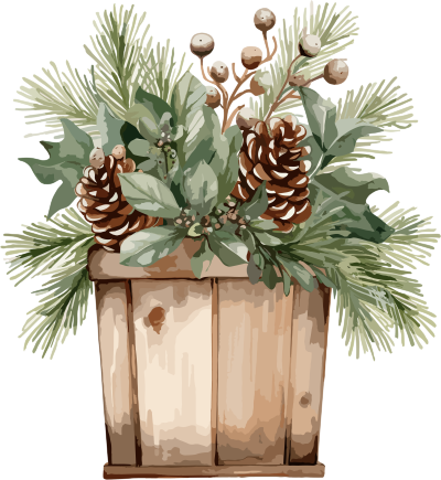 圣诞节绿植盆栽插图