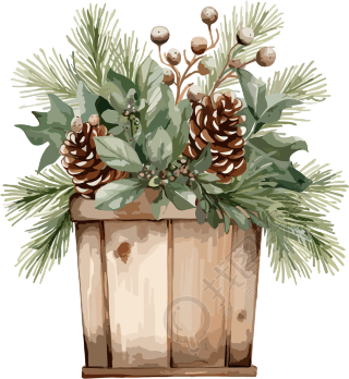 圣诞节绿植盆栽插图