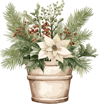 圣诞节绿植盆栽插画