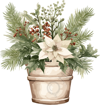 圣诞节绿植盆栽插画