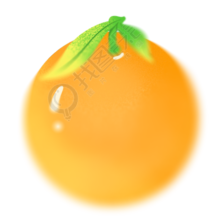 手绘橘子透明背景插画