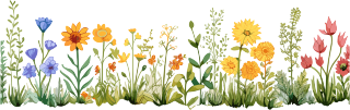植物花边卡通插画图案素材
