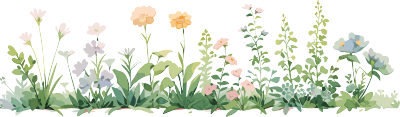 植物花边白底素材