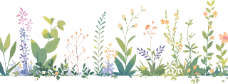 植物花边可商用PNG素材