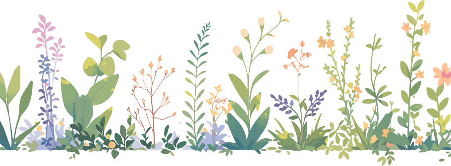 植物花边可商用PNG素材