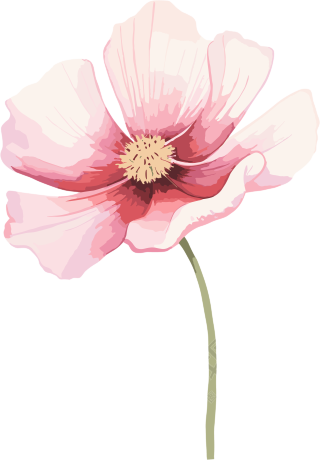 水彩花卉高清透明背景插画