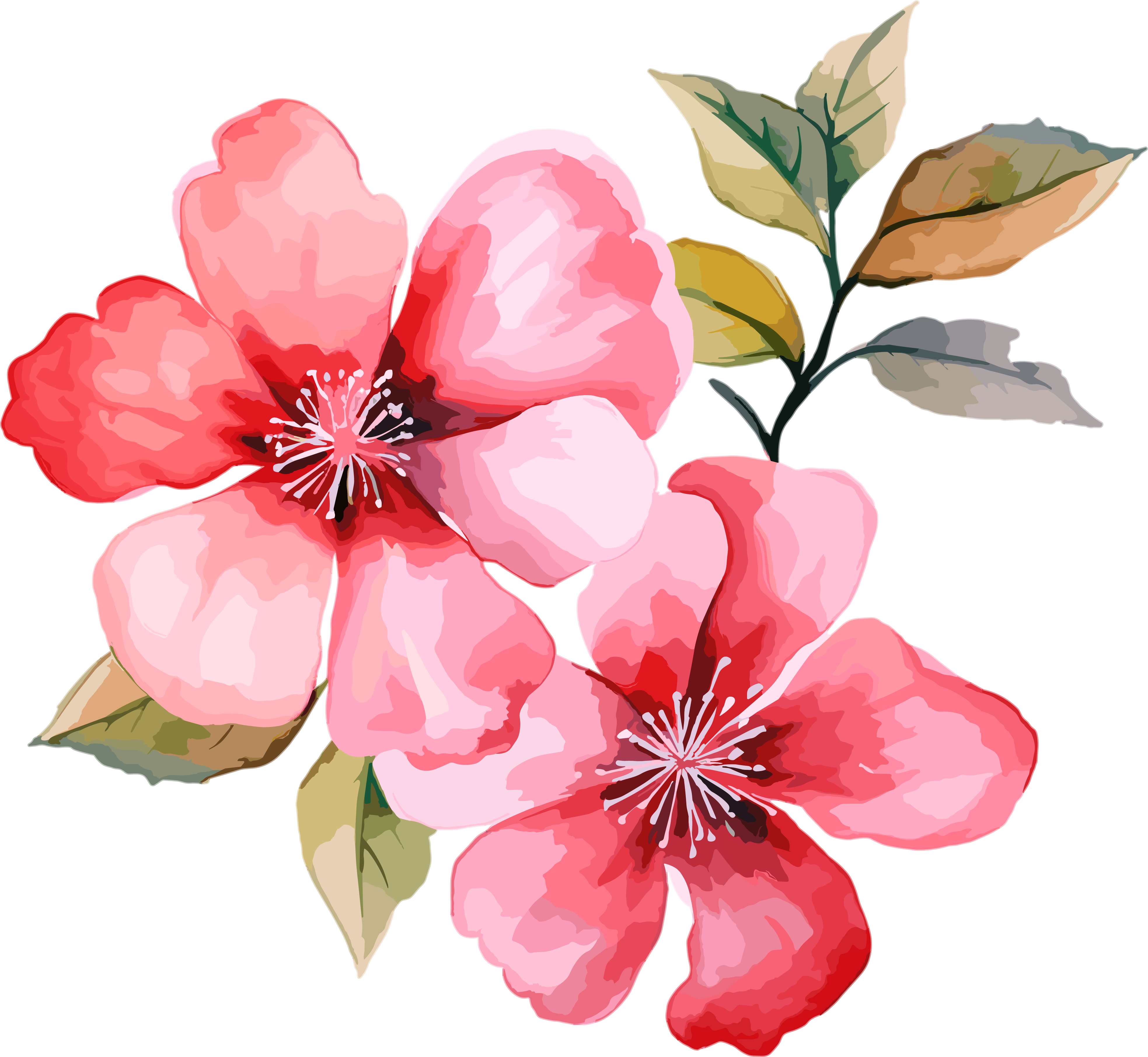 水彩花卉设计元素