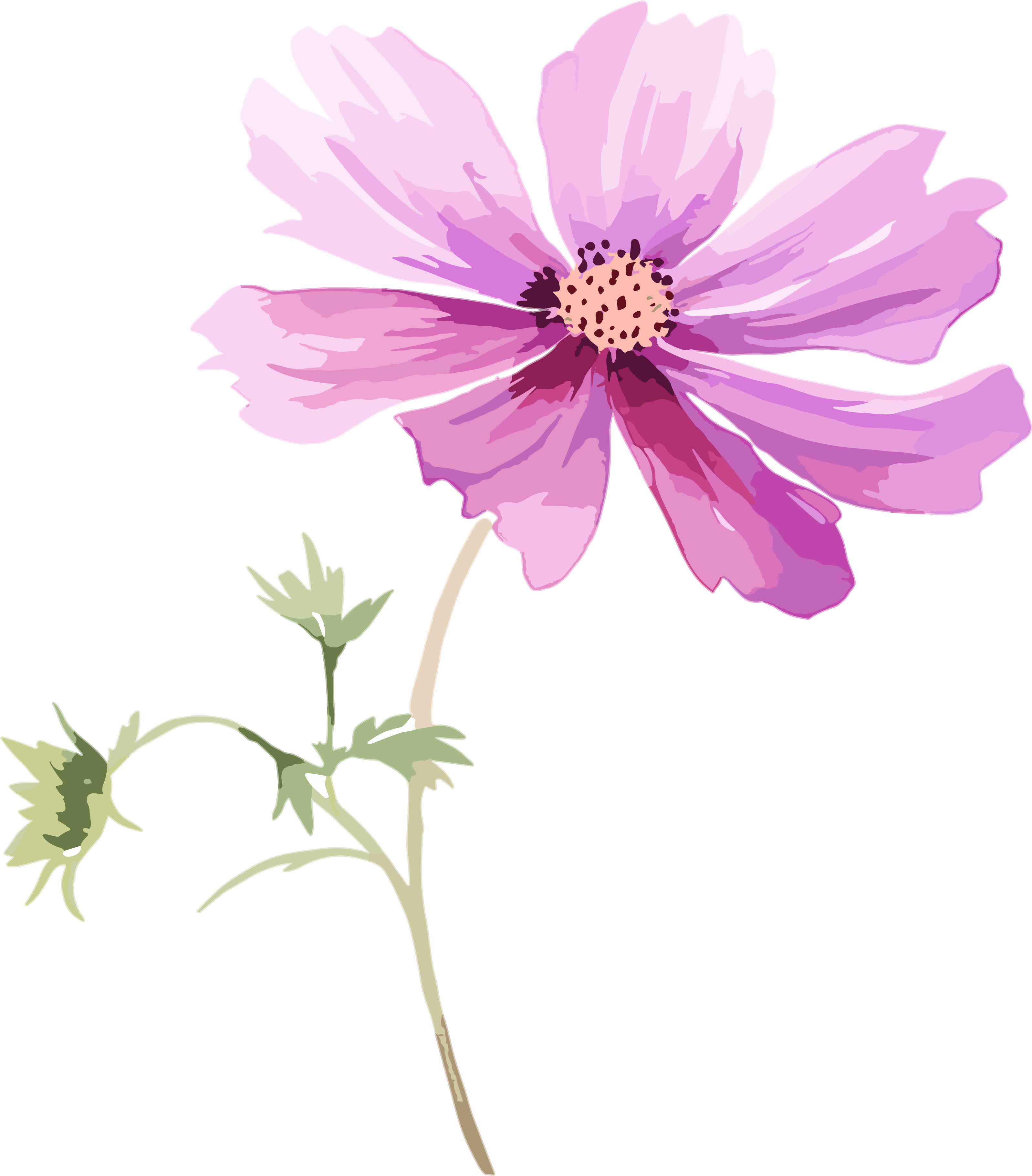 水彩花卉创意设计插画