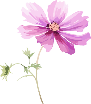 水彩花卉创意设计插画
