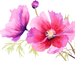 水彩花卉高清图形素材
