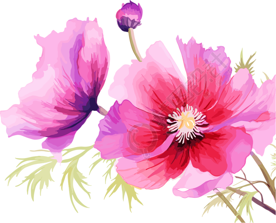 水彩花卉高清图形素材