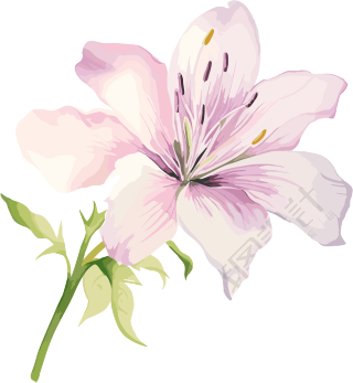 水彩花卉设计元素插画