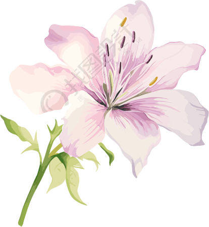 水彩花卉设计元素插画
