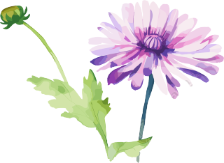 水彩花卉创意图形素材