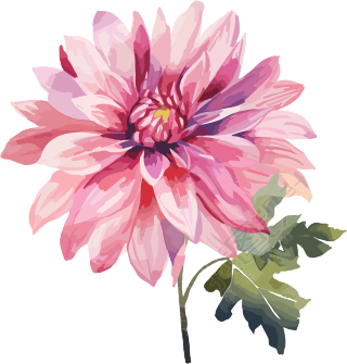 水彩花卉创意设计元素