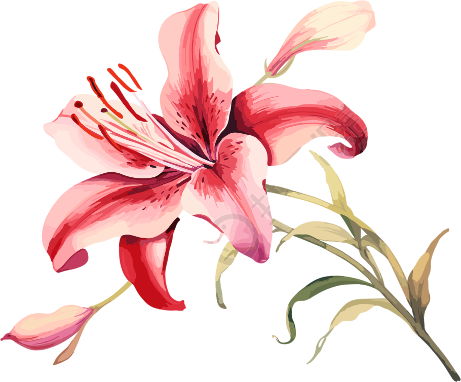 水彩花卉高清插图素材