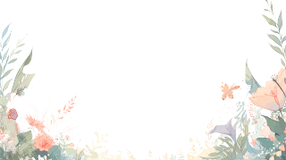 植物花边透明背景插画