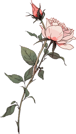 一朵玫瑰花花卉设计素材