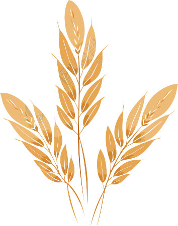小麦插图设计元素