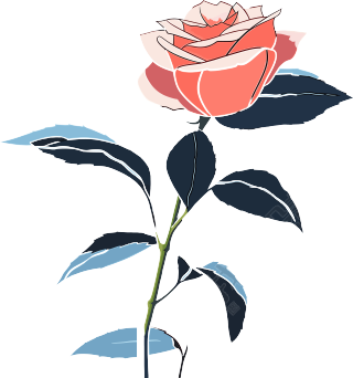 一朵玫瑰花商业插画