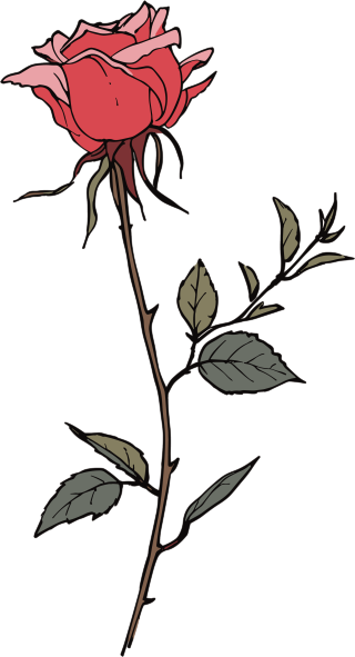 一朵玫瑰花高清图形素材
