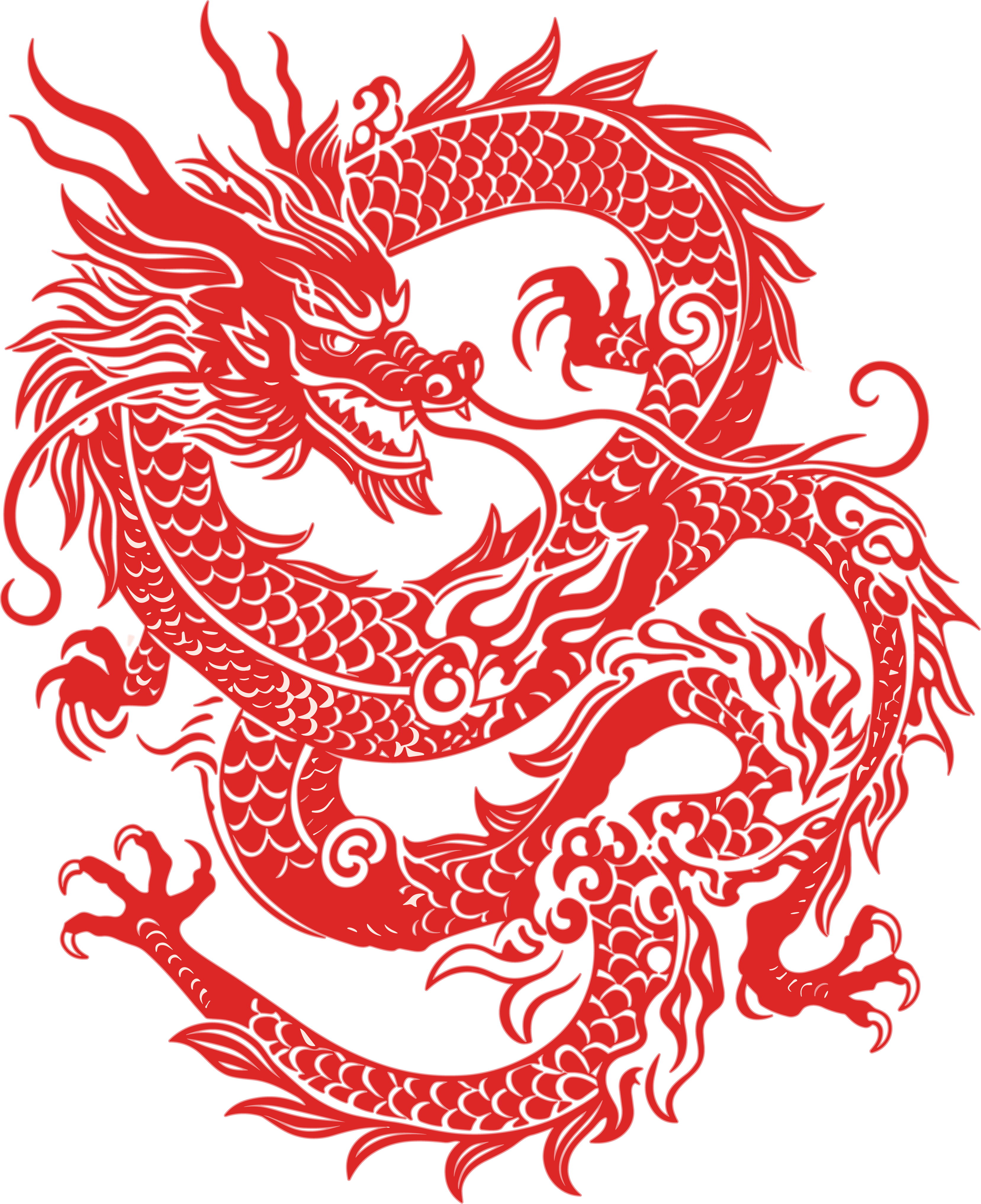 中国龙创意设计灵感插画
