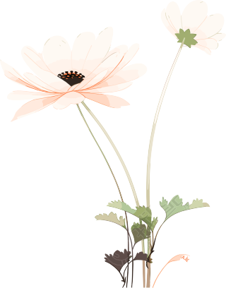 线条花朵柔和插图