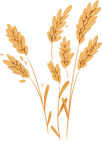 小麦扁平插画设计元素